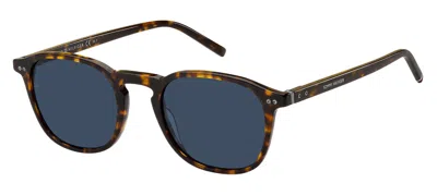 Tommy Hilfiger Sunglasses In Havana