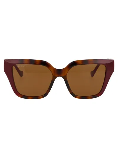 Gucci Sunglasses In 009 Havana Burgundy Brown
