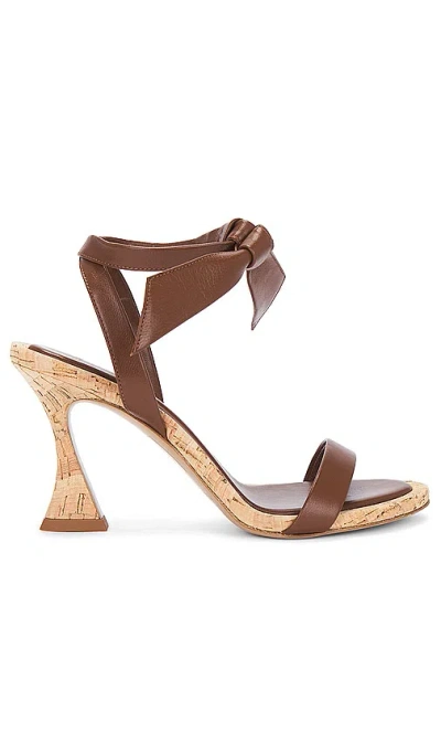 Alexandre Birman Women's Clarita 85mm Leather Ankle-wrap Sandals In Espresso