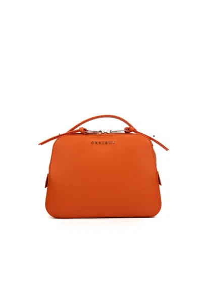 Orciani Mini Cheri Vanity Bag In Leather In Arancio