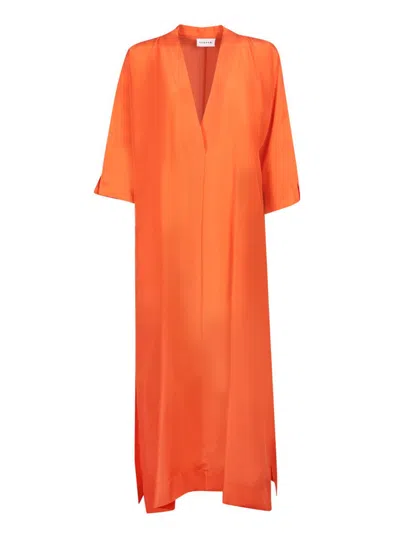 P.a.r.o.s.h . Dresses In Orange