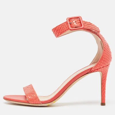 Pre-owned Giuseppe Zanotti Coral Pink Snakeskin Embossed Leather Neyla Sandals Size 36