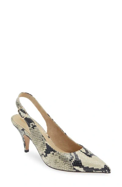 Khaite River 75mm Python-embossed Pumps In Natural