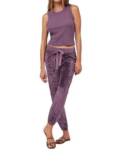 Lamade Velvet Jogger With Satin Sash In Fig In Purple