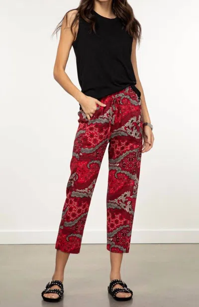 Xirena Paxtyn Pant In Fire In Red