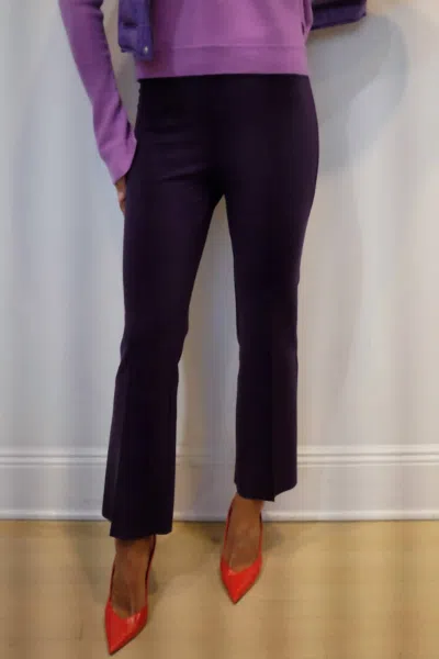 Grey/ven Porterfield Pant - In Grape In Purple