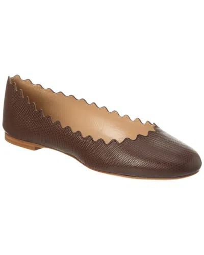 Chloé Ballerines Lauren Femme Brun Taille 38 100% Bos Taurus, Farmed, Coo France In Brown