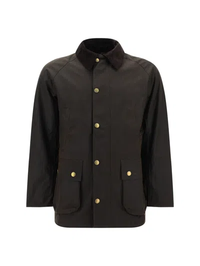 Barbour Jacket  "ashby" In Marrone