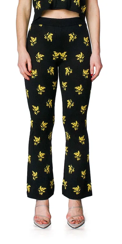 Naya Rea Vita Knit Pants In Black/yellow Flowers