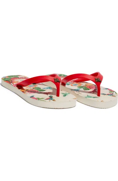 Johnny Was Women's Andra Flip Flop In Red Multi