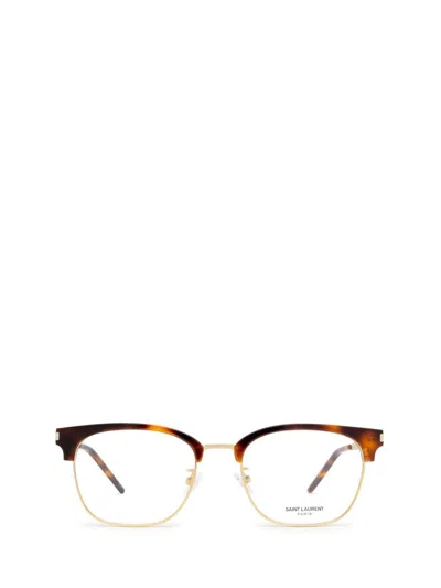 Saint Laurent Eyewear Eyeglasses In Havana