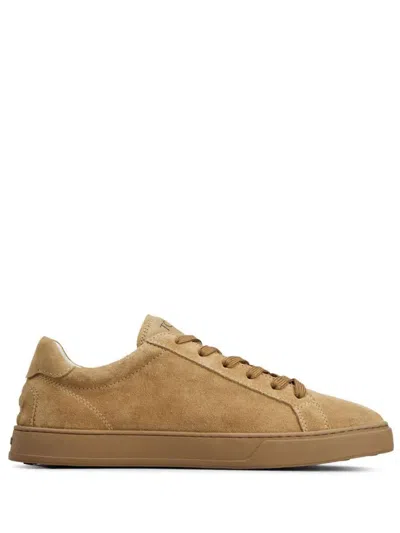 Tod's Sneakers Shoes In Brown