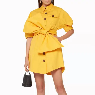 Acler Priestly Denim Dress In Yellow