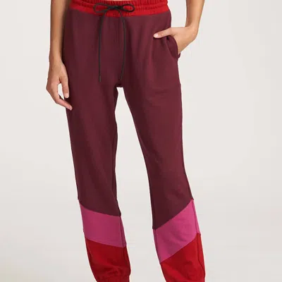 Thrive Societe Color Block Jogger In Fig In Red