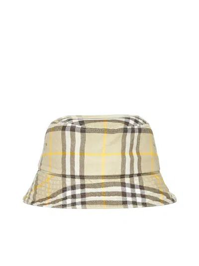 Burberry Hats In Hunter