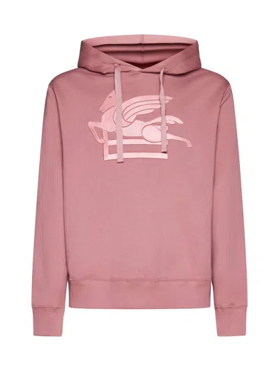 Etro Sweaters In Pink