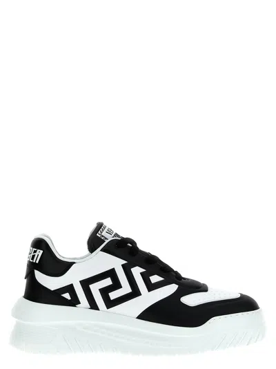 Versace Odissea Greca Sneakers In Black/white