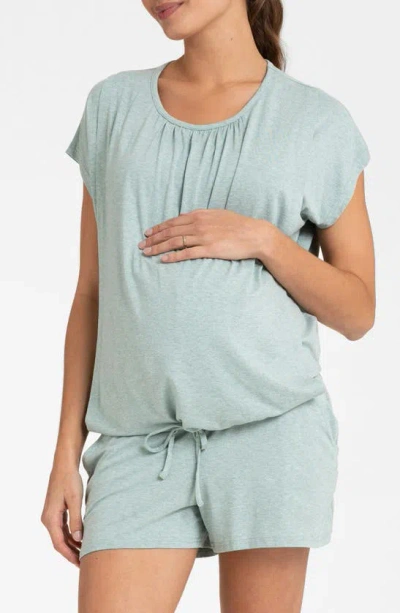 Seraphine Women's Ultra-soft Maternity And Nursing Short Pajamas In Sage
