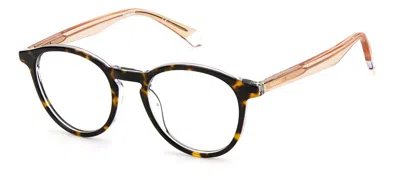 Polaroid Eyeglasses In Havana Crystal