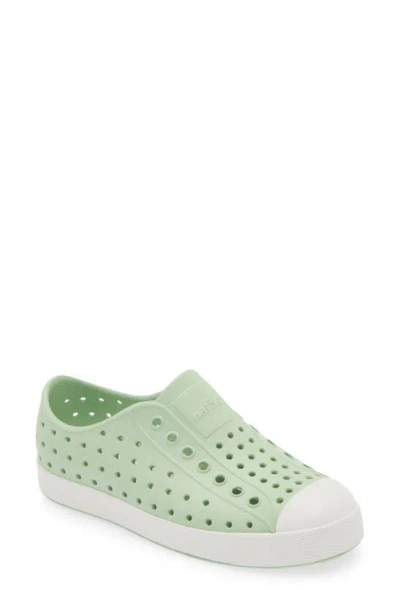 Native Shoes Kids' Jefferson Sugarlite Water Resistant Sneaker In Fig Green/ Shell White