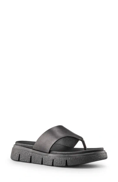 Cougar Ponyo Leather Thong Slide Sandals In Black