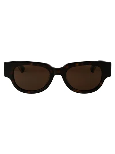 Bottega Veneta Sunglasses In 002 Havana Crystal Brown