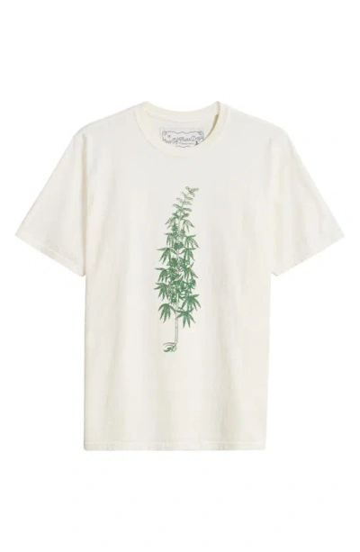 One Of These Days More Peace More Freedom Cotton Graphic T-shirt In Bone