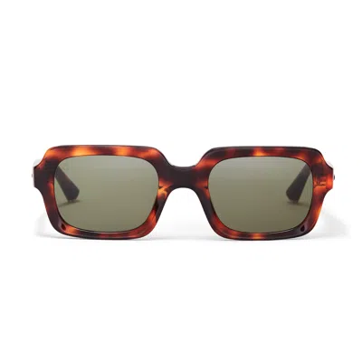Taylor Morris Eyewear Sidney Sunglasses In Brown