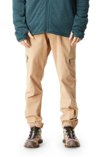 Picture Organic Clothing Alpho Explorer Pants In Tannin