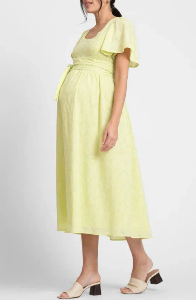 Seraphine Women's Maternity Cotton Broderie Maternity And Nursing Dress In Lime