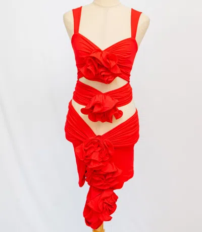 Pre-owned Magda Butrym Red Cut Out Dress With Floral Applique