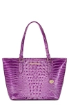 Brahmin Medium Asher Lilac Essence Melbourne In Lilacessence