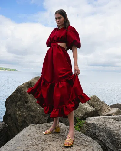 Vasiliki Women's Laila Taffeta Maxi Dress In Red