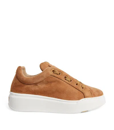 Max Mara Suede Trainers In Brown