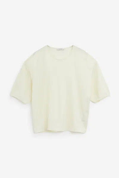 Lemaire Short Sleeve T-shirt In Lemon_glaze