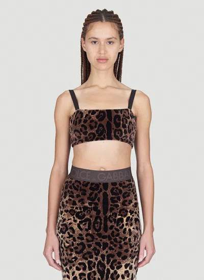 Dolce & Gabbana Leopard Print Crop Top In Brown