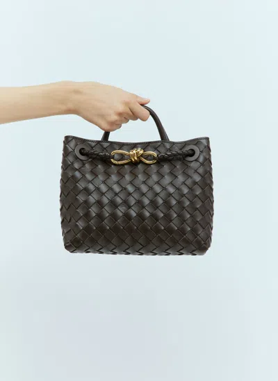 Bottega Veneta Andiamo Piccola Handbag In Brown