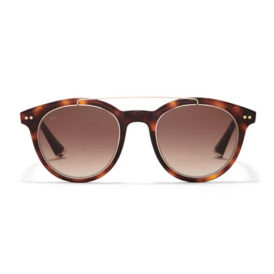 Taylor Morris Eyewear Blenheim Sunglasses In Brown