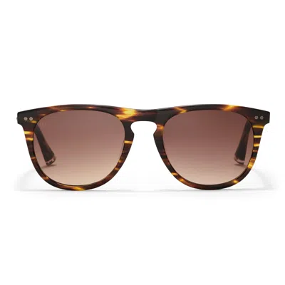 Taylor Morris Eyewear Bassett Sunglasses In Brown