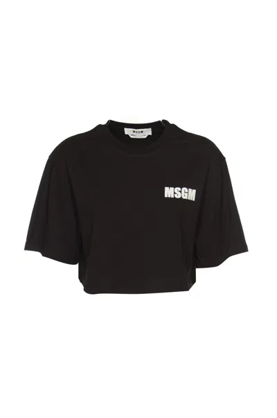 Msgm T-shirts And Polos Black