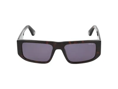 Police Sunglasses In Brown