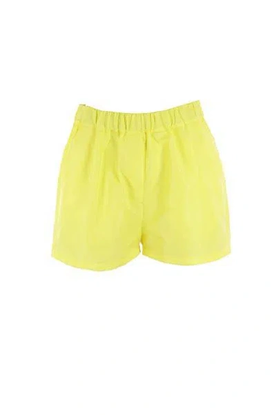 Msgm Shorts In Yellow