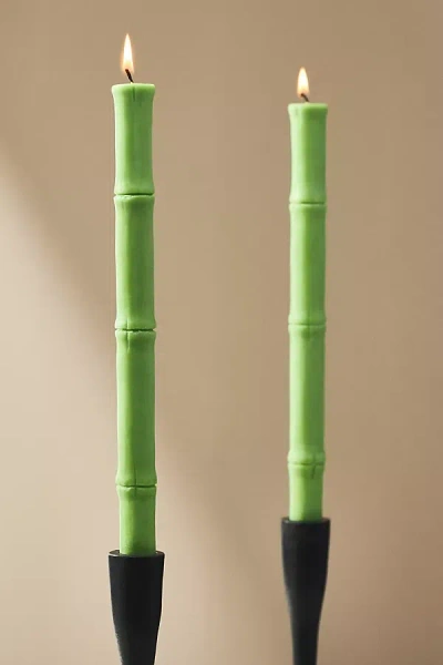 By Anthropologie Bamboo Taper Candles, Set Of 2 In Green