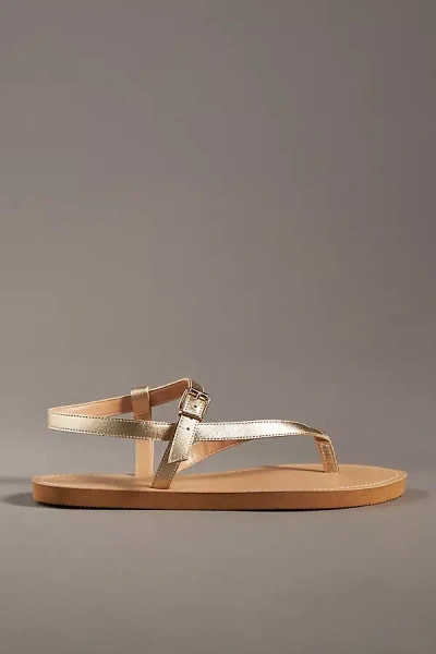 Pilcro Leather Toe-strap Sandals In Gold