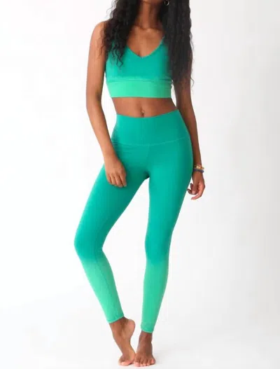 Electric & Rose Sunset Leggings In Sunbeach Reef Green In Multi