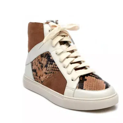 Matisse Women's Toss Up Sneaker In Brown Multi