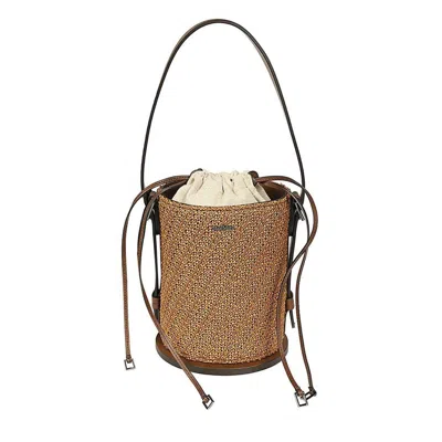 Max Mara Bucket Bag In Brown