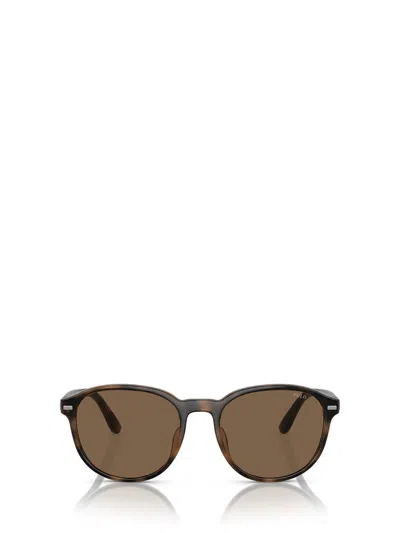 Polo Ralph Lauren Sunglasses In Brown