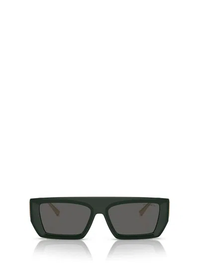 Tiffany & Co . Sunglasses In Dark Green