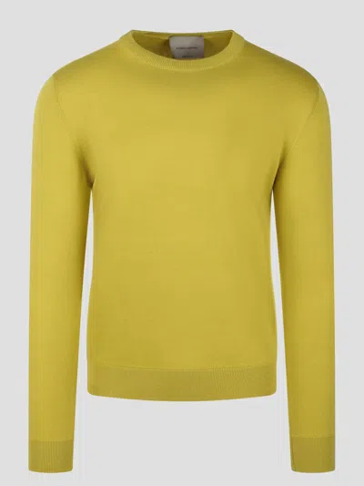 Moreno Martinelli Cotton Crewneck Sweater In Yellow